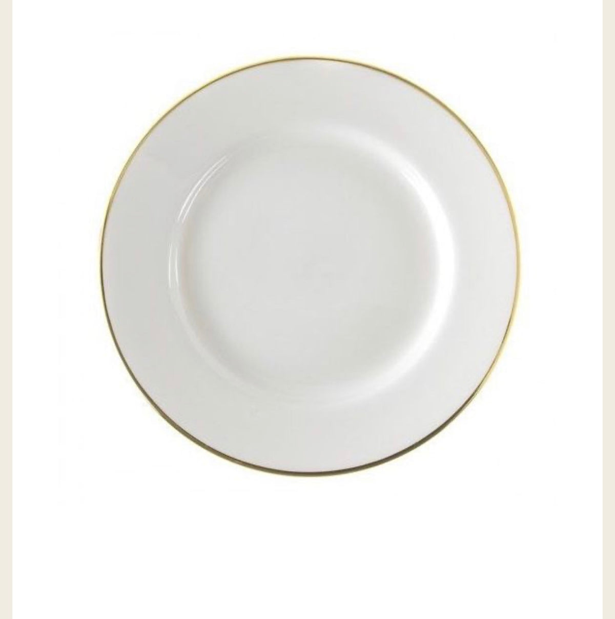 10” Dinner Plate